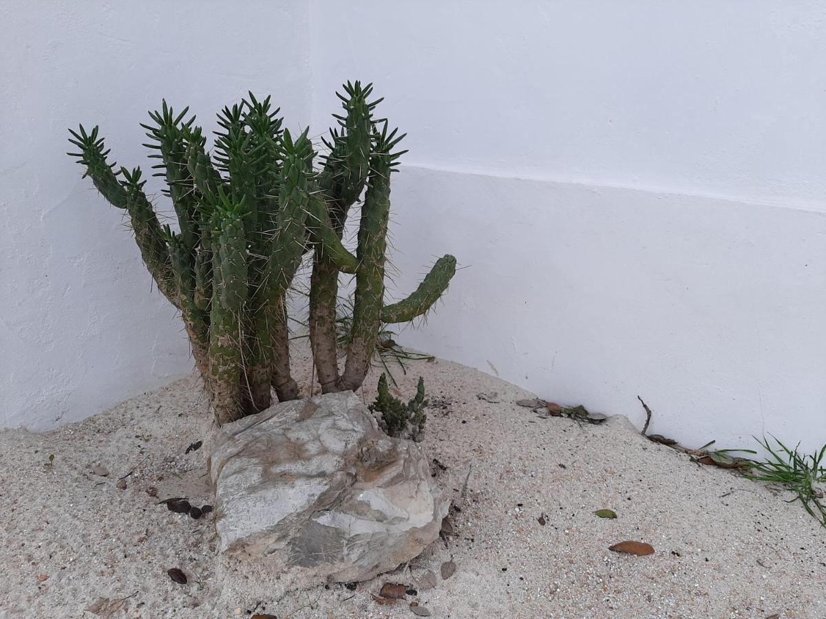 Monte Vale Manhas By Hi Alentejo Villa São Bartolomeu da Serra Buitenkant foto